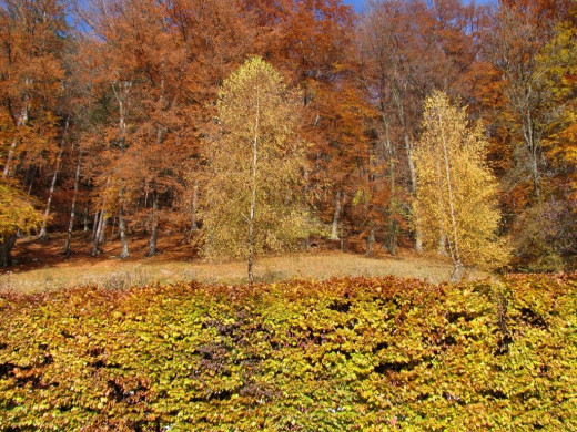 37491 (a): :1024x768